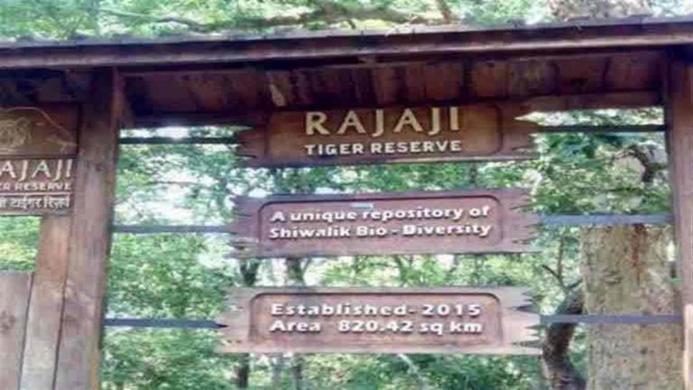 rajajitiger_220361