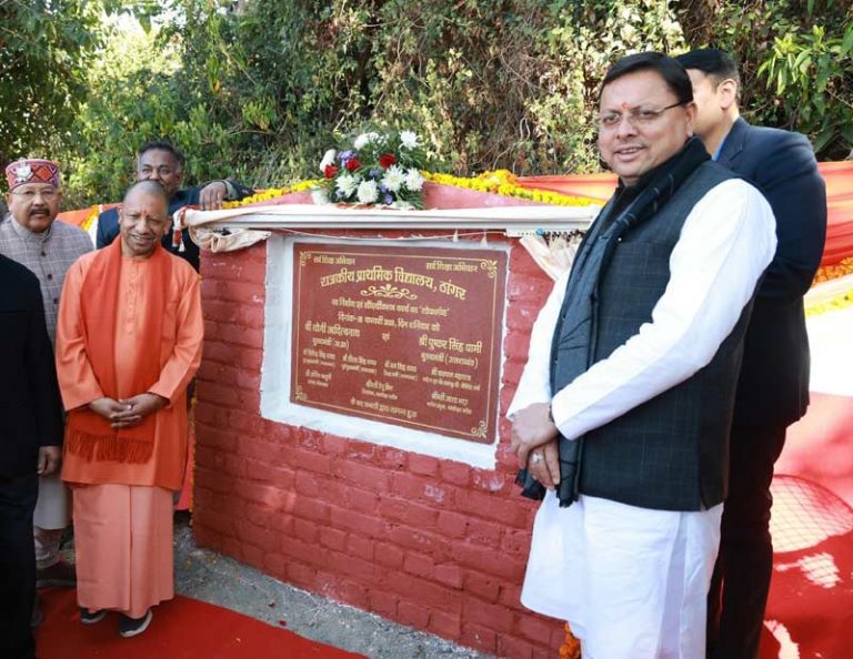 yogi