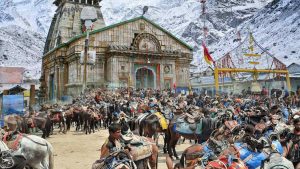 चारधाम यात्रा 13 घोड़े खच्चरों की मौत