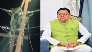 मुख्यमंत्री पुष्कर सिंह धामी