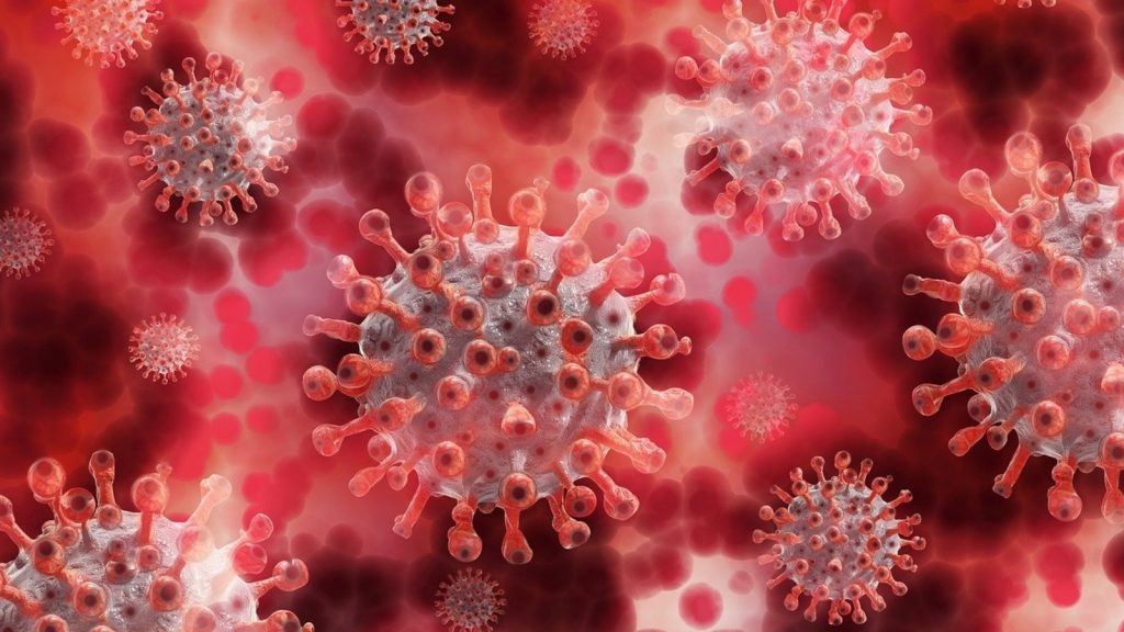 corona virus
