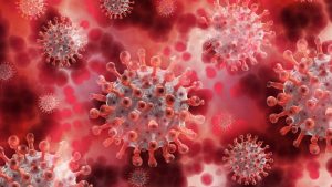 corona virus