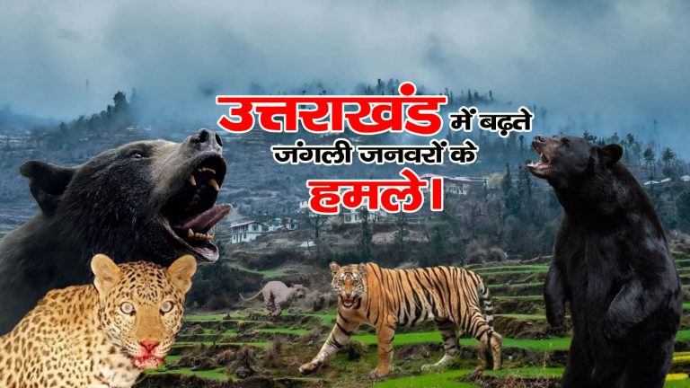 Uttarakhand-jungle-trails-1 copy