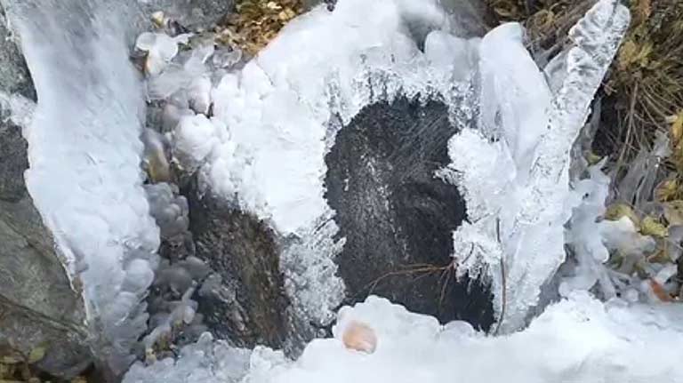 गंगोत्री