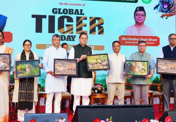 CM Pushkar Singh Dhami at the World Tiger Day Program